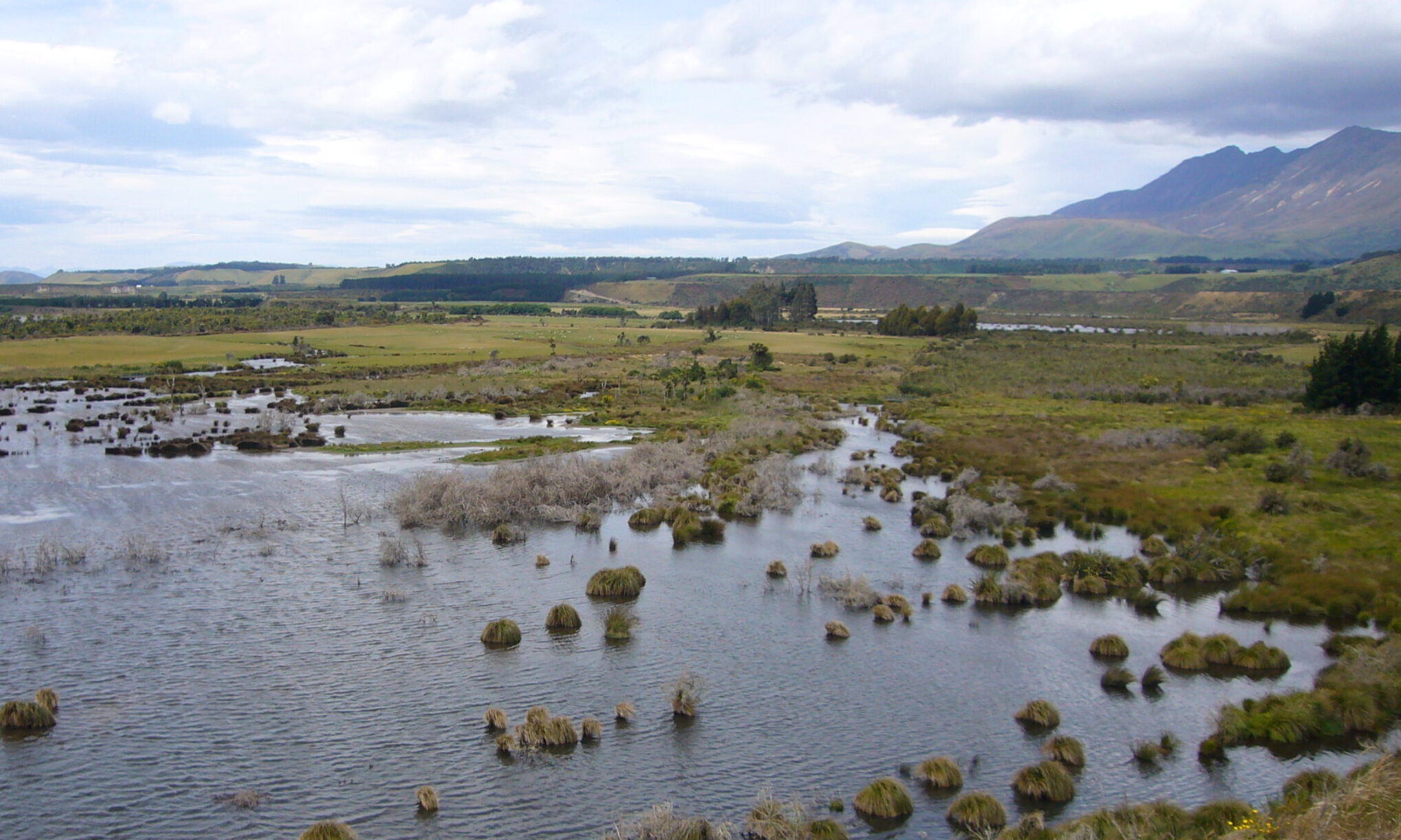 The climate-saving potential of our vanishing wetlands – Expert Q&A