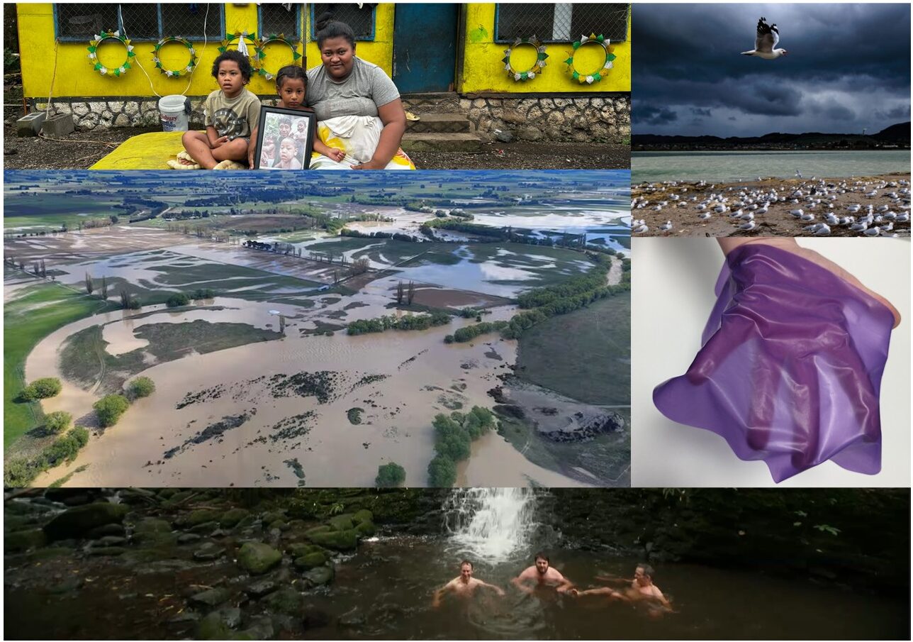 Eleven finalists emerge for 2025 Science Journalism Awards