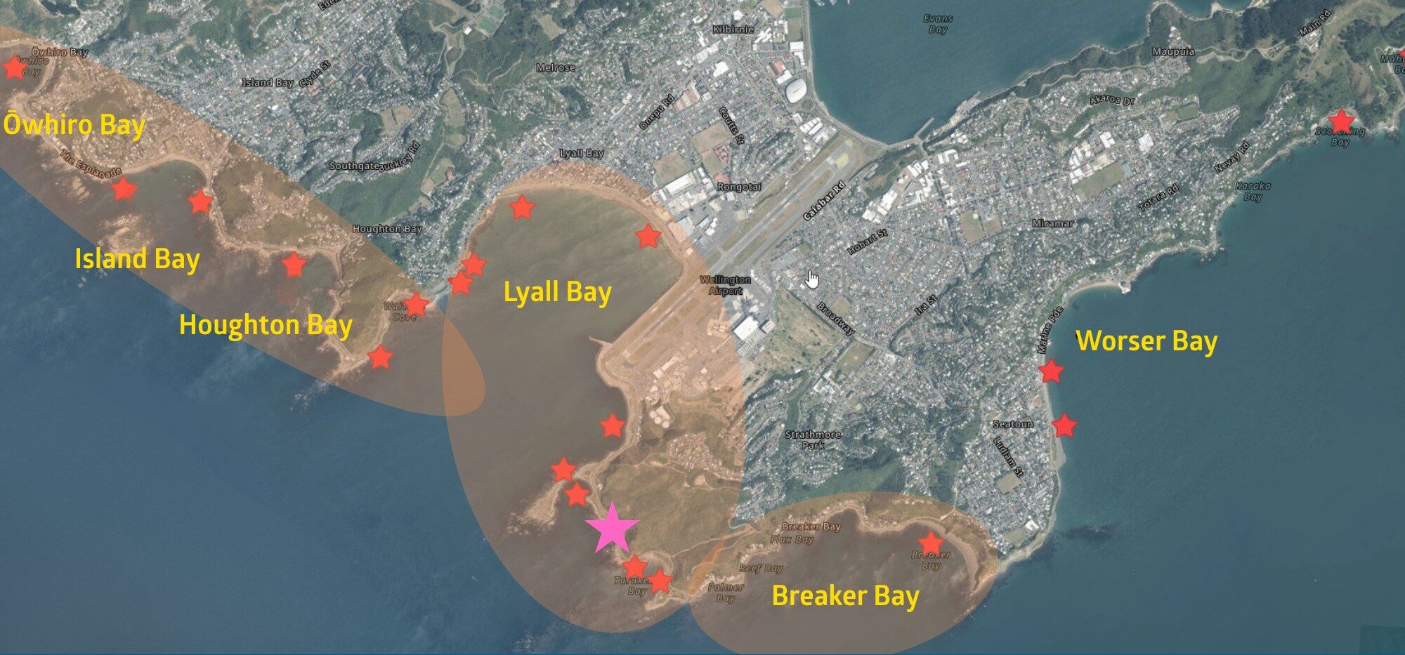 How Wellington’s wastewater failure could impact sea life – Expert Reaction