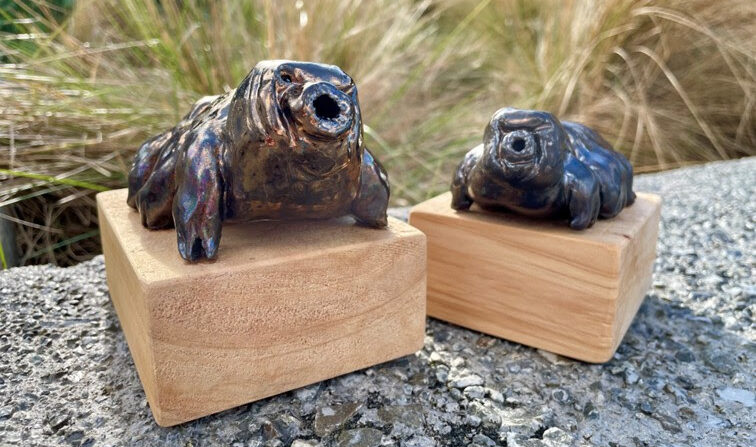 Send us your top science stories