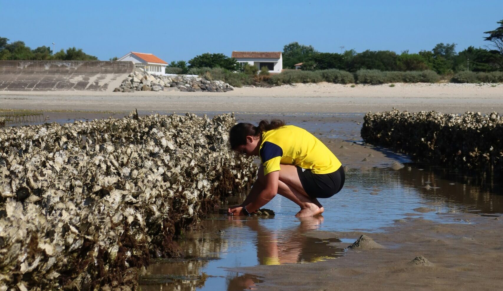 Storms put seafood safety at risk – Expert Reaction
