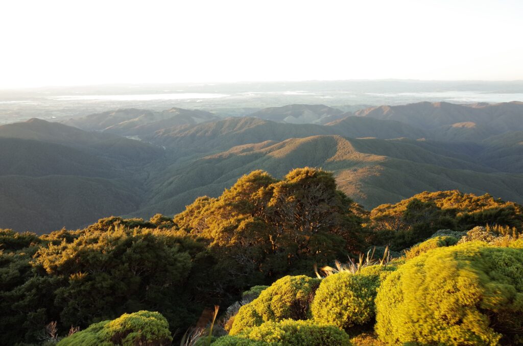Public land up for sale under the Conservation Amendment Bill - Expert ...