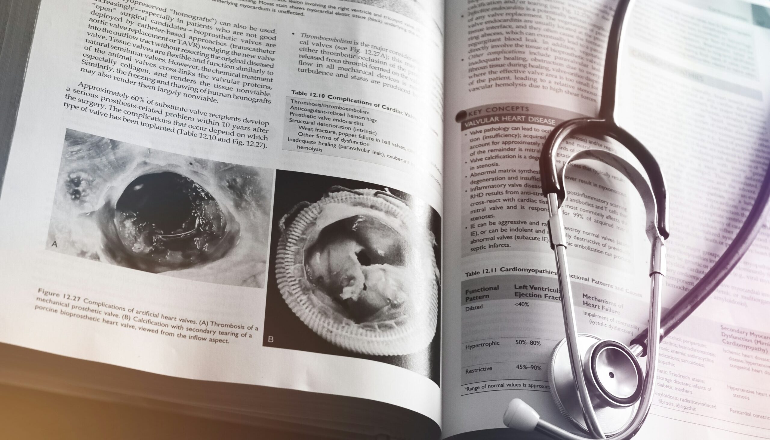 The impact of medical misinformation in NZ – Expert Reaction