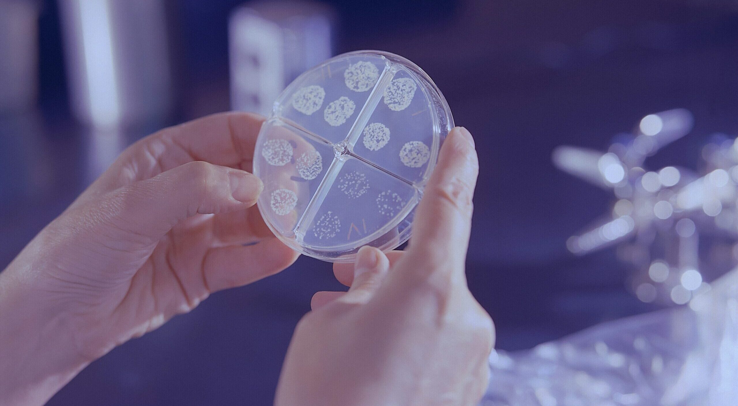 AI creates microbe that could one day take down superbugs – Expert Reaction